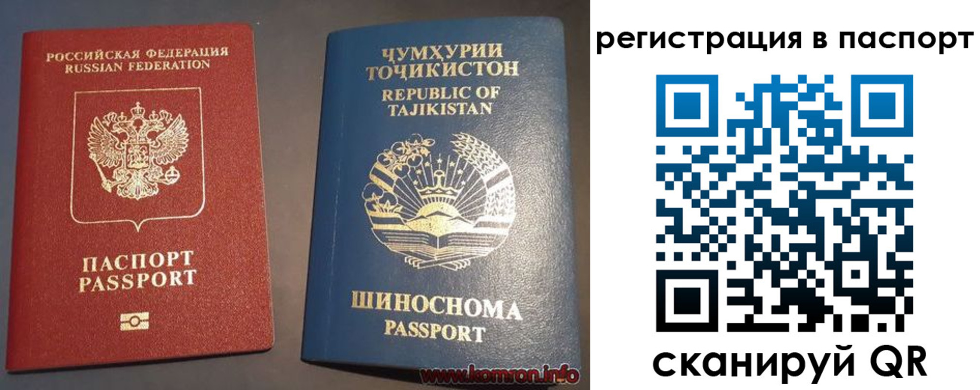 прописка в квартире в Вологодской области